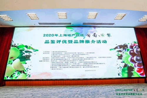 滬上佳果競(jìng)芳華 地產(chǎn)葡萄蜜梨評(píng)優(yōu)活動(dòng)圓滿落幕